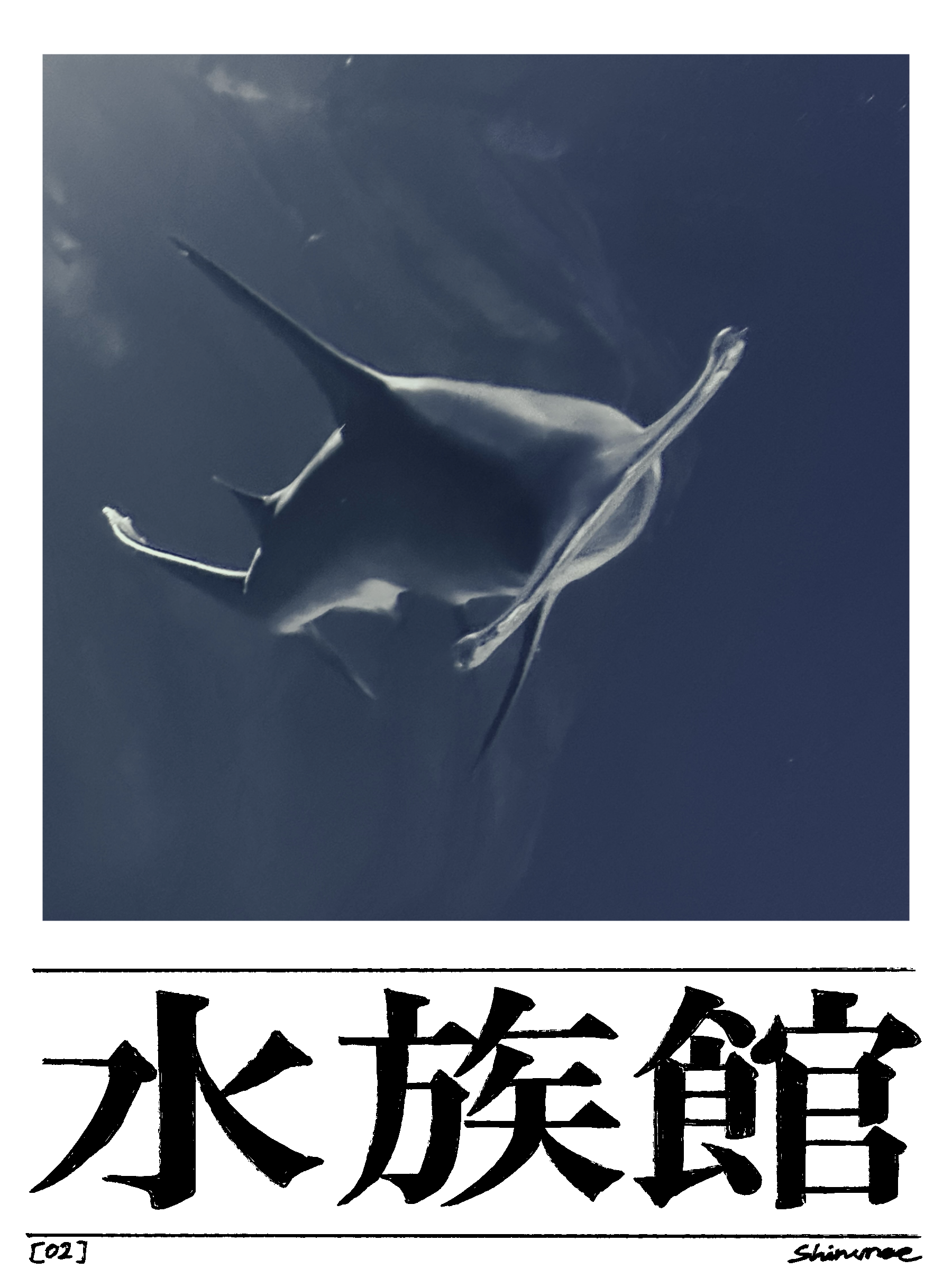 水族館 観測記録 扉絵